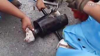 钢管与扣件 现代建筑施工中的关键构件